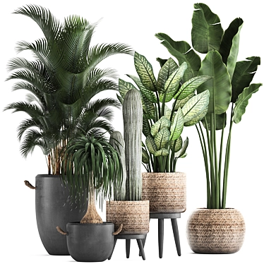 Exotic Plant Collection: Palms, Cacti, and More 3D model image 1 