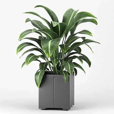 Plant in a pot 05 (CAPE Collection)