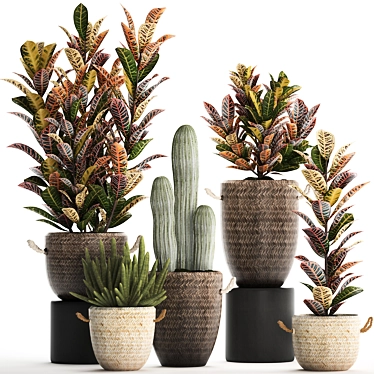 Exotic Houseplant Collection 3D model image 1 