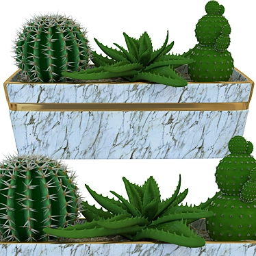 Title: Mini Cacti Pot: Tabletop Succulent Display 3D model image 1 
