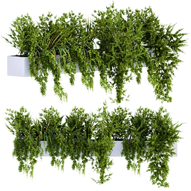 Leafy Charm: Ivy Plants in Box 3D model image 1 