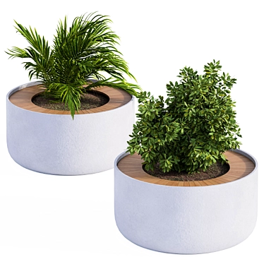 Concrete Round Planter with Plants 3D model image 1 