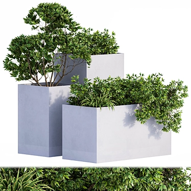 Concrete Outdoor Plants Box 3D model image 1 