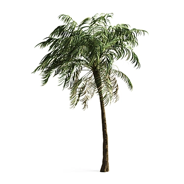 Tropical Paradise Palm Tree 3D model image 1 