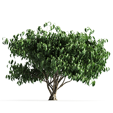Lush Greenery: Add Life&Beauty! 3D model image 1 