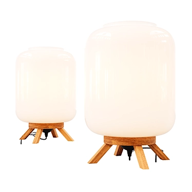 Elegant Glass Lamp with Wooden Base 3D model image 1 