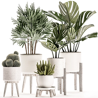 Tropical Plant Collection in White Pots 3D model image 1 