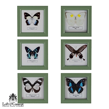 Elegant Butterfly Frame: Loft Concept 3D model image 1 