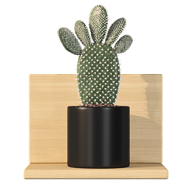 Prickly Pear Cactus 3D Models 3D model image 1 