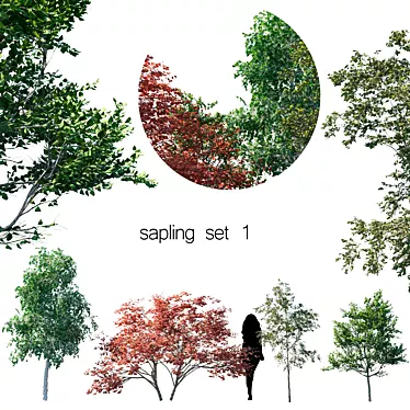 Growth Guru: Sapling Set 1 3D model image 1 