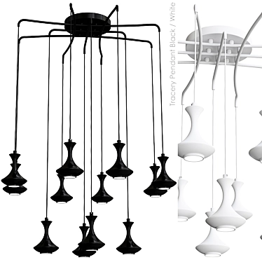 Tracery Pendant: Black & White Bliss 3D model image 1 