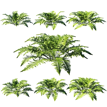 Strigosa Tree: Miniature Foliage for Unique Environments 3D model image 1 