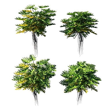 Tropical Monstera Tree for 3D Rendering 3D model image 1 