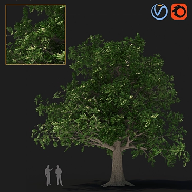 Versatile 3D Tree Model 3D model image 1 