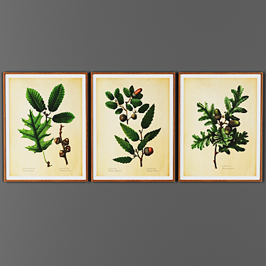 Rustic Wood Picture Frames Set 3D model image 1 
