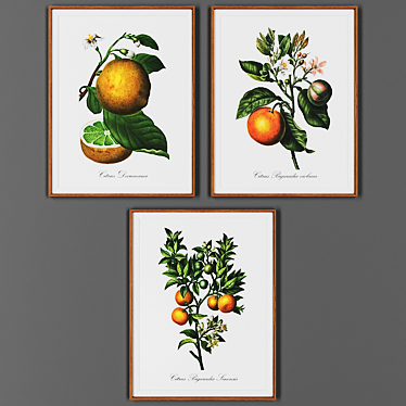 Vintage Wooden Frame Set (3 Pieces) 3D model image 1 