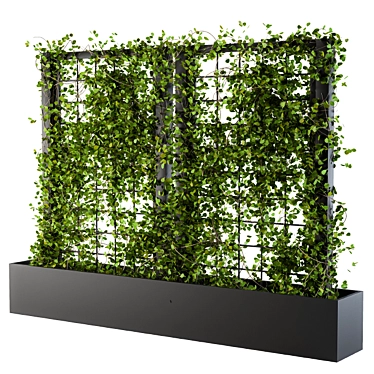 Ivy Grid Elegance 3D model image 1 
