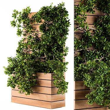 Lush Ivy Plants for Stylish Plant Boxes 3D model image 1 