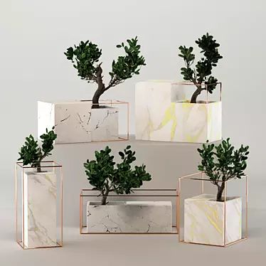 Marble Zen Bonsai Collection 3D model image 1 