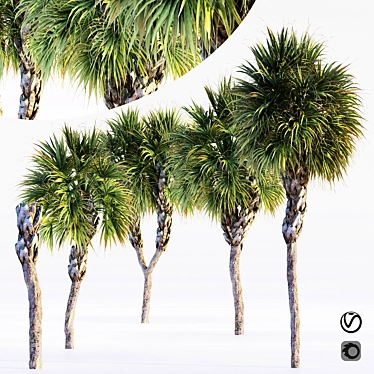 Tropical Paradise Palms 3D model image 1 