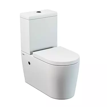 SSWW CT2046 Floor Toilet - Geberit Flush System, White Diamond 3D model image 1 