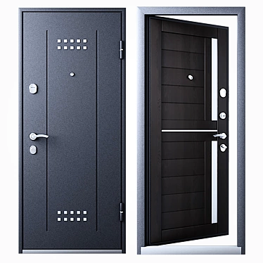 Entrance door DELTA-M 10 from TOREX 860x2050