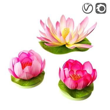 Floating Lily Artificial Flowers Set 3D model image 1 