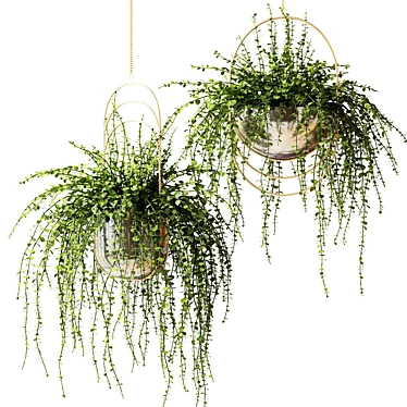 Designer Pots with Hanging Ampel Plants 3D model image 1 