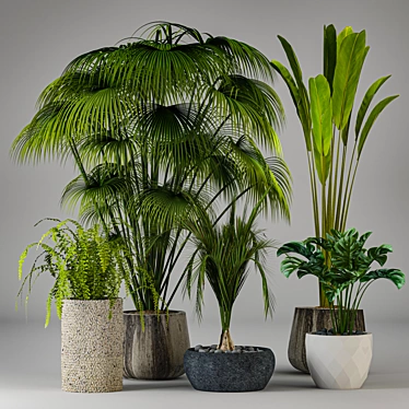 Houseplant Dark Green