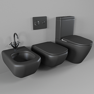 Bidet and toilet Laufen Palomba and Roca INSPIRA IN-WASH