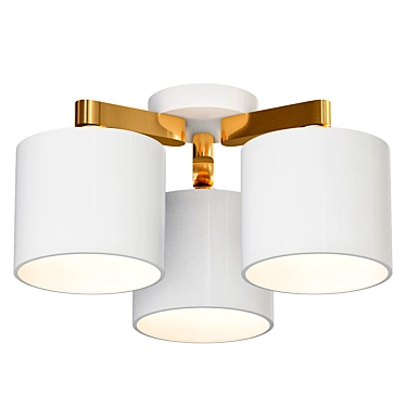 Bella Ceiling Light, White & Natural 3D model image 1 