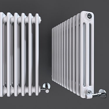 Elegant Cordivari Ardesia Radiator 3D model image 1 