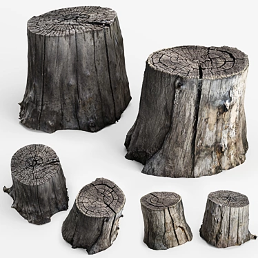 3D Stump Scans: Two Stumps for Photorealistic Rendering 3D model image 1 