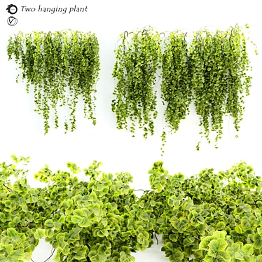 Leafy Greens Hanging Plant Pair 3D model image 1 