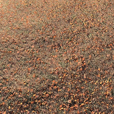 Autumn Foliage Variety 3D model image 1 