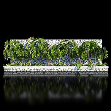 Tropical Beauty Bundle: Philodendron Sello + Epipremnum Aureum 3D model image 1 