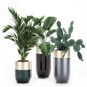 Exotic Plant Collection: Indoor & Outdoor Decor 3D model image 1 