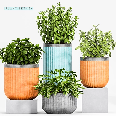 Botanical Bliss: Decorative Planter Set 3D model image 1 