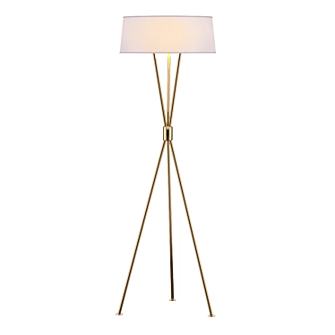 Polished Nickel Decorative Floor Lamp Portable Light