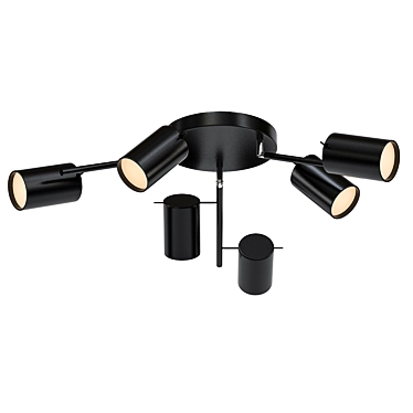 Elegant Fanale Ceiling Light 3D model image 1 