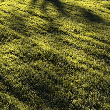 Lush Greenscape Scattered Grass 3D model image 1 