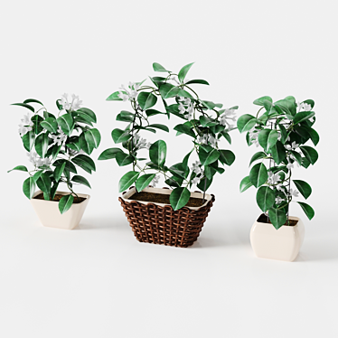 Stephanotis 3D Model - High Quality Mesh with Textures 3D model image 1 