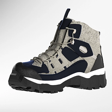 Versatile Corona Shoe Collection 3D model image 1 