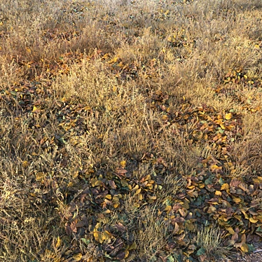 Autumn Fields Dry Grass 3D model image 1 