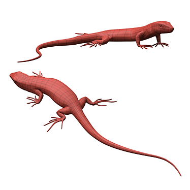 European Wall Lizard - 5 Dynamic Poses 3D model image 1 