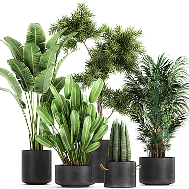 Tropical Plant Collection: Exotic Decor for Indoors & Out 3D model image 1 