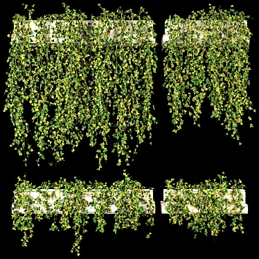 Lush Ivy Set for 3Dmax 3D model image 1 