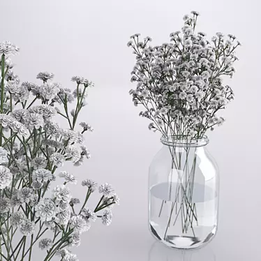 Whimsical Gypsophila Jar Bouquet 3D model image 1 