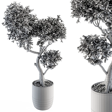 Mini Bonsai Set: Indoor Greenery 3D model image 1 