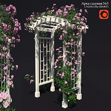 Garden arch №3. Climbing rose